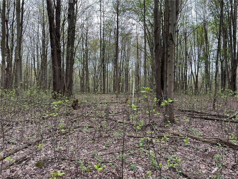 VL Stanhope-Kelloggsville Road, Kingsville, OH 44048 Photo 39