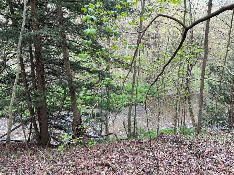 VL Stanhope-Kelloggsville Road, Kingsville, OH 44048 Photo 5