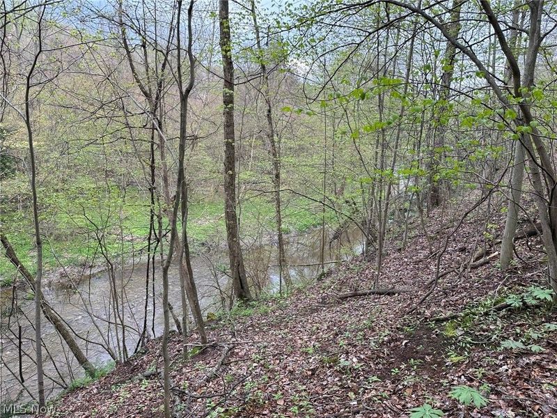 VL Stanhope-Kelloggsville Road, Kingsville, OH 44048 Photo 6