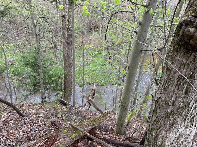 VL Stanhope-Kelloggsville Road, Kingsville, OH 44048 Photo 7