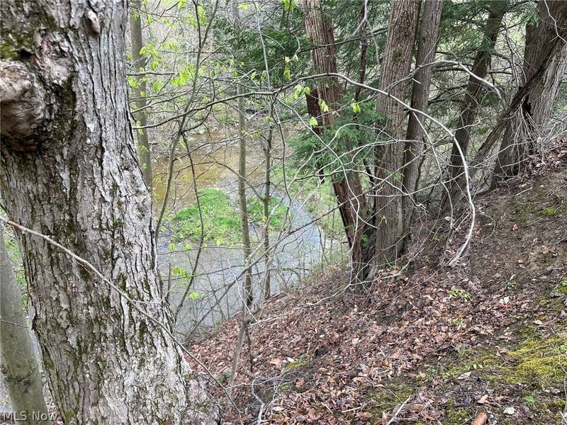 VL Stanhope-Kelloggsville Road, Kingsville, OH 44048 Photo 8