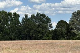 Tbd Liberty Hill Road photo 4
