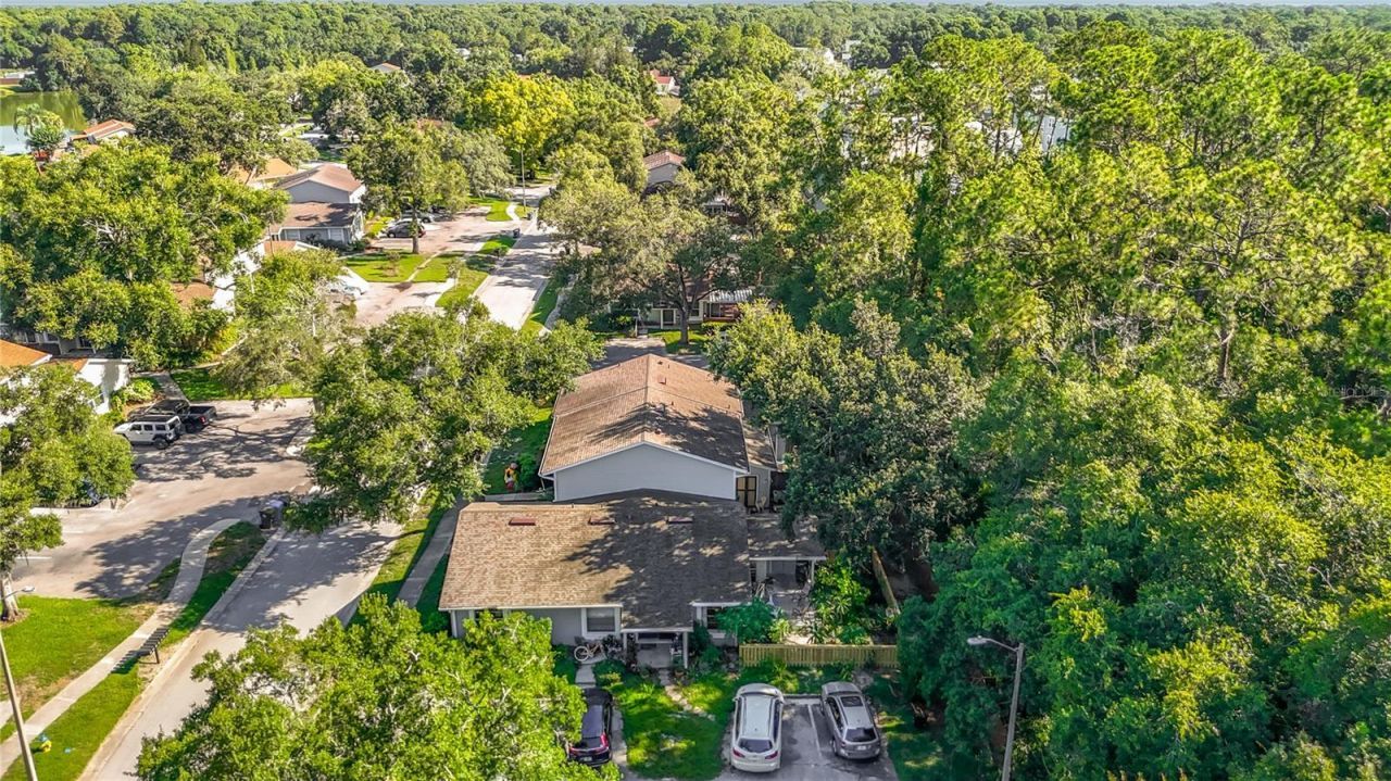 15101 Morning Dr, Lutz, FL 33559 Photo