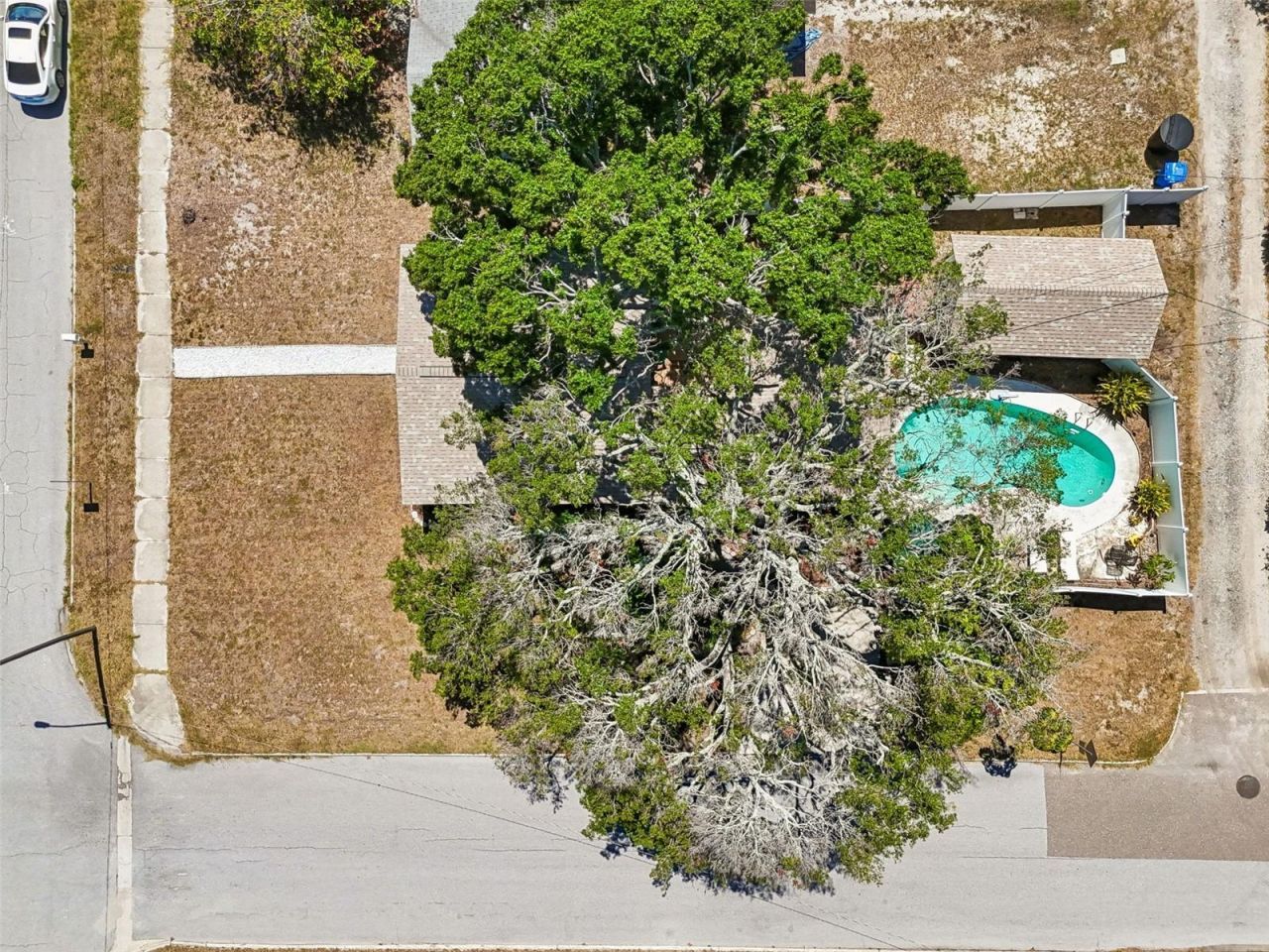 4601 16th Avenue N, Saint Petersburg, FL 33713 Photo