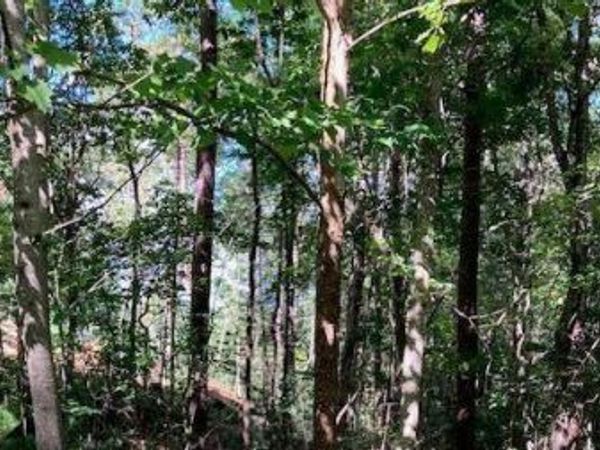 0 Red Oak Trail , Ellijay, GA 30540