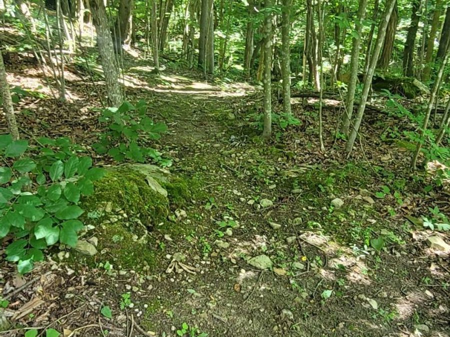 Property Image 34