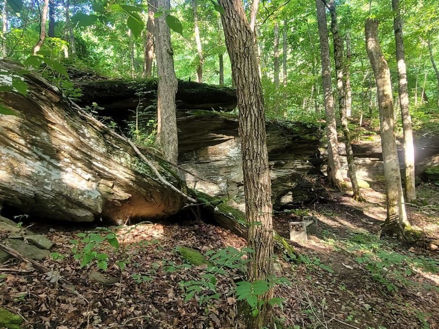 Property Image 6