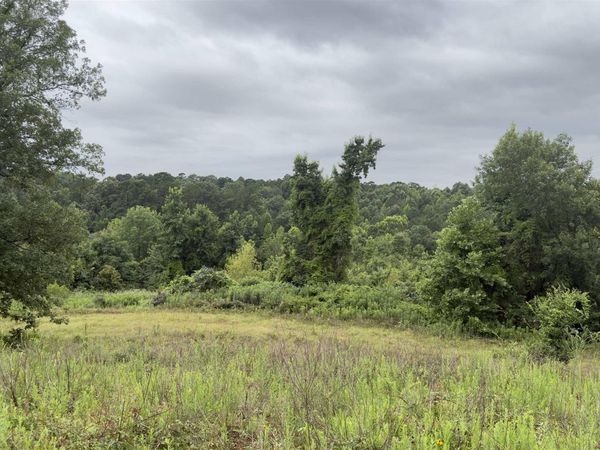 80 Acres Hwy 41, De Queen, AR 71832