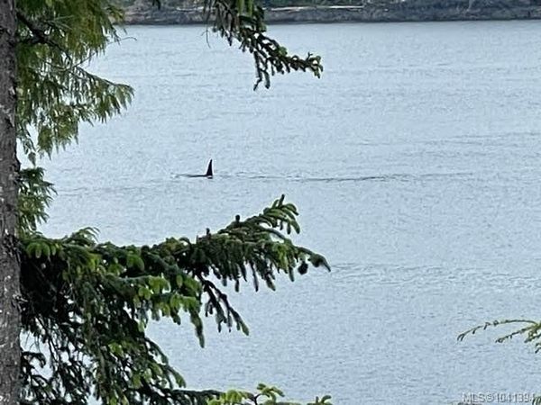 Lot C Telegraph Cove , Telegraph Cove, BC V0N 2R0