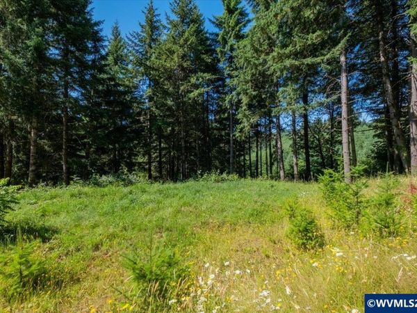 432 Chamberlain (Adj To) Rd, Falls City, OR 97344