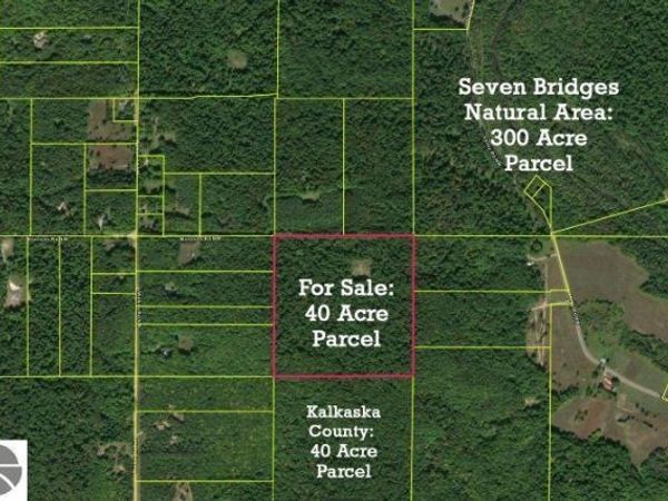 Morrison Road NW, Rapid City, MI 49676