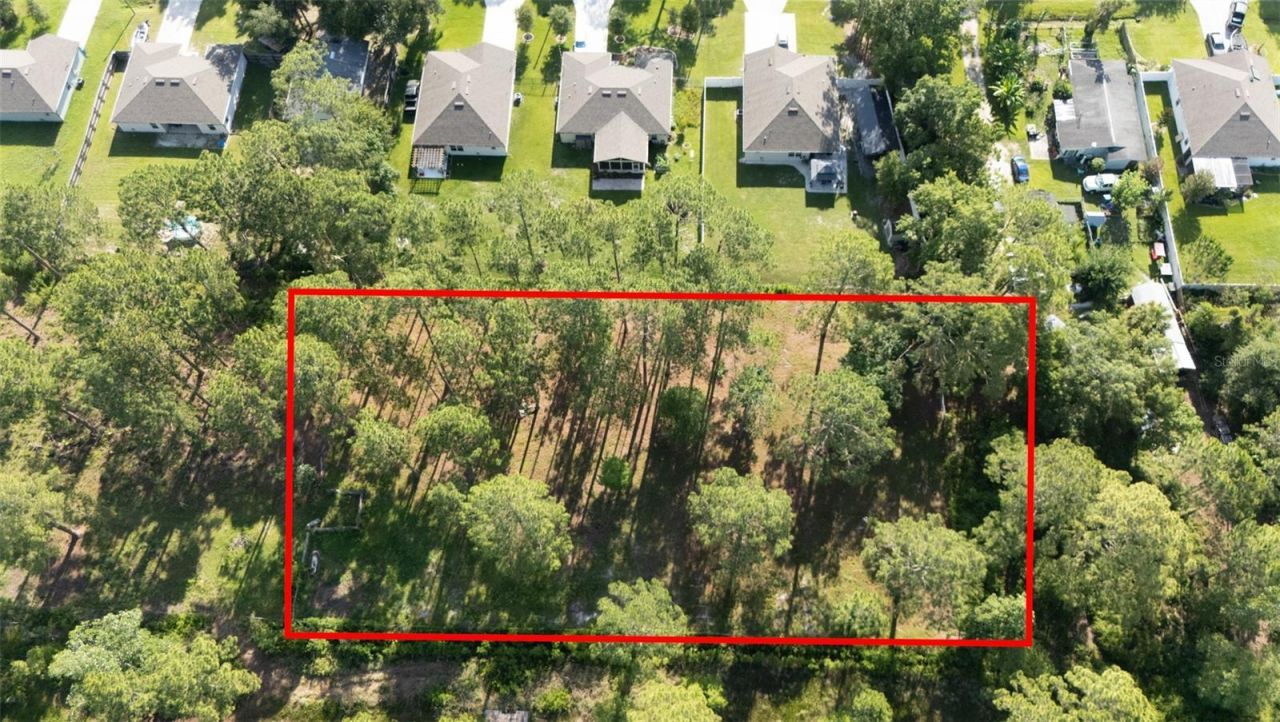 No Street, Deland, FL 32720 Photo