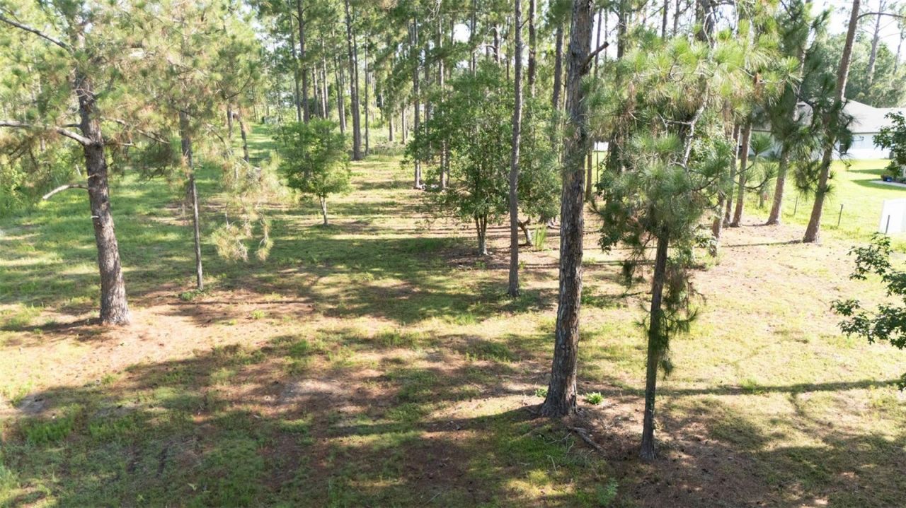 No Street, Deland, FL 32720 Photo