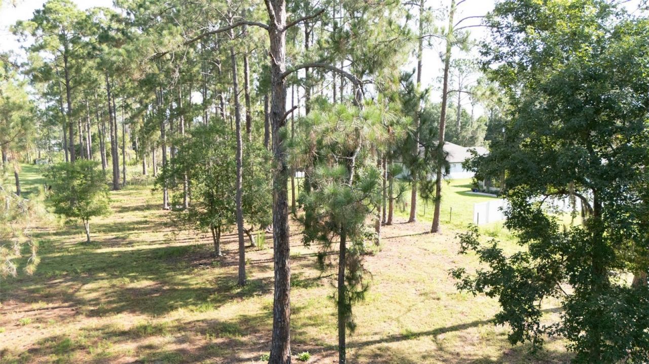 No Street, Deland, FL 32720 Photo