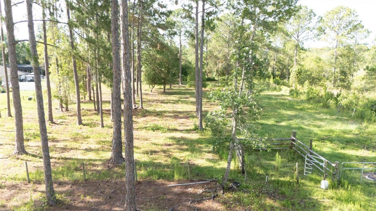 No Street, Deland, FL 32720 Photo