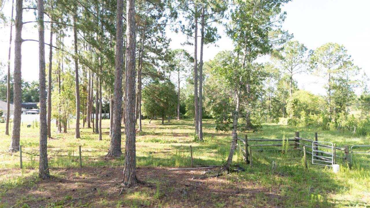 No Street, Deland, FL 32720 Photo