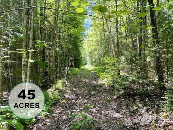 00 George's Boulevard, East Haven, VT 05837