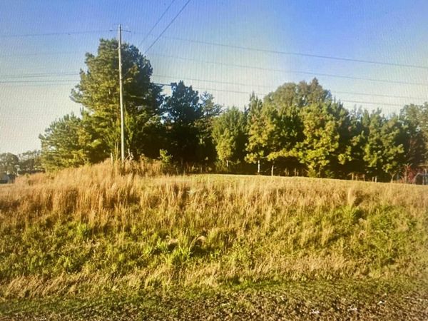 0.80 acres Hwy 24, Town Creek, AL 35672