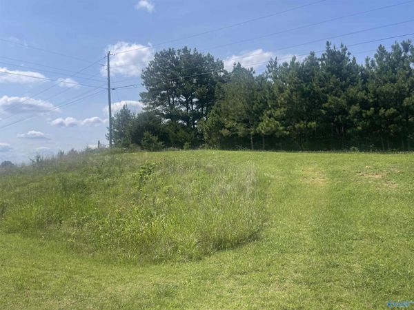 0.80 acres Hwy 24, Town Creek, AL 35672