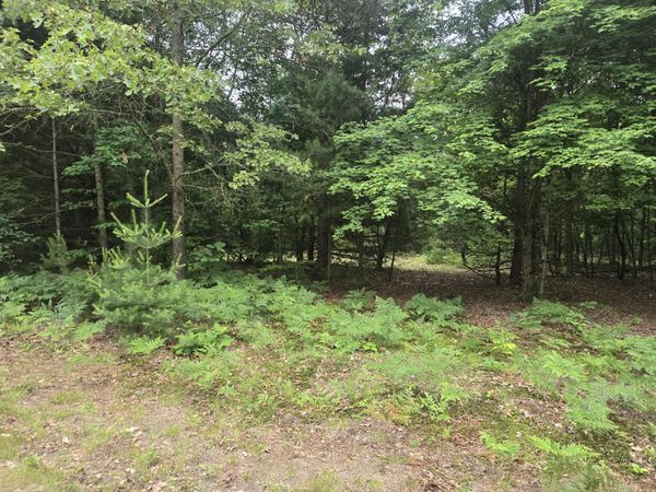 2732 S 132nd Avenue, Shelby, MI 49455