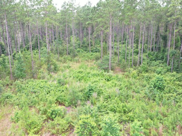63 Dogwood Hills Dr., Laurel, MS 39443
