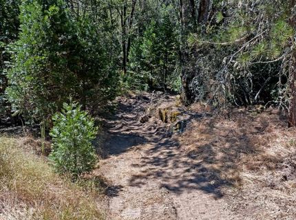 7071 Perry Creek Rd, Somerset, CA 95684 Photo