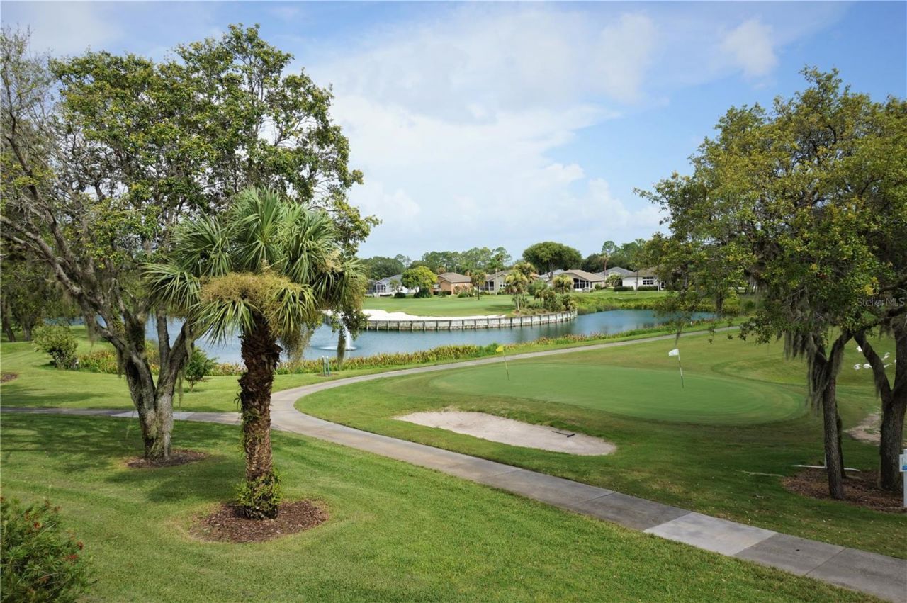 11344 Heritage Point Drive, Hudson, FL 34667 Photo