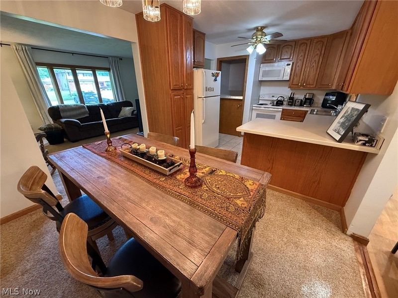 4260 Wedgewood Drive, Austintown, OH 44511 Photo 10