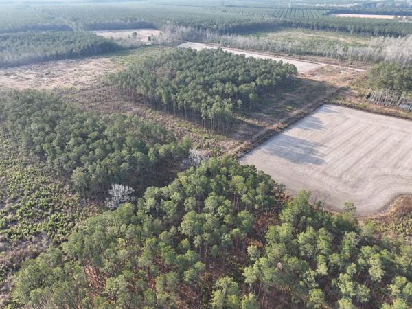 TBD Hwy 9 , Marion, SC 29571