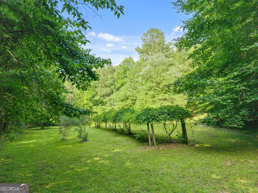 Property Image 80