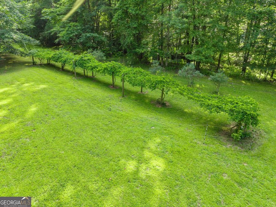 Property Image 81