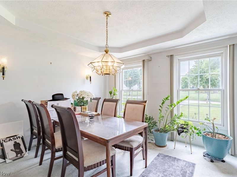 1347 Sharonbrook Drive, Twinsburg, OH 44087 Photo 11