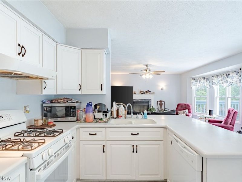 1347 Sharonbrook Drive, Twinsburg, OH 44087 Photo 9