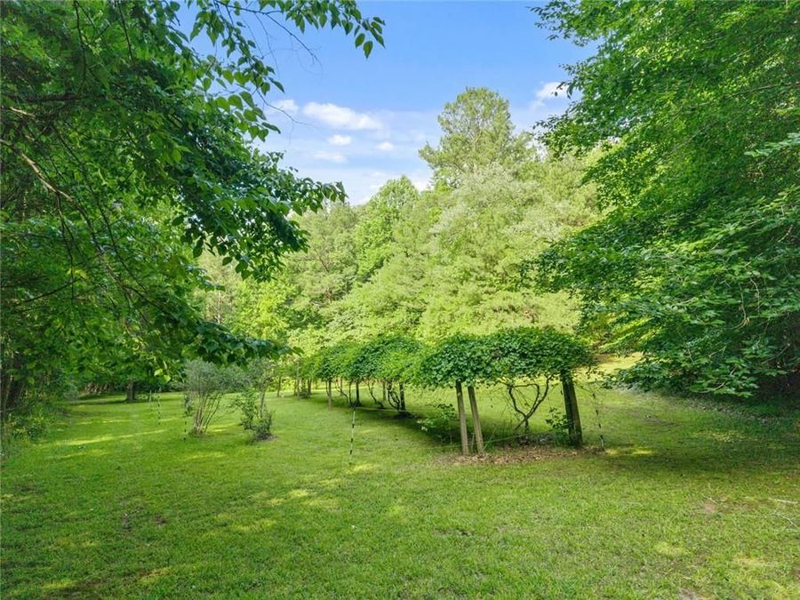 Property Image 79