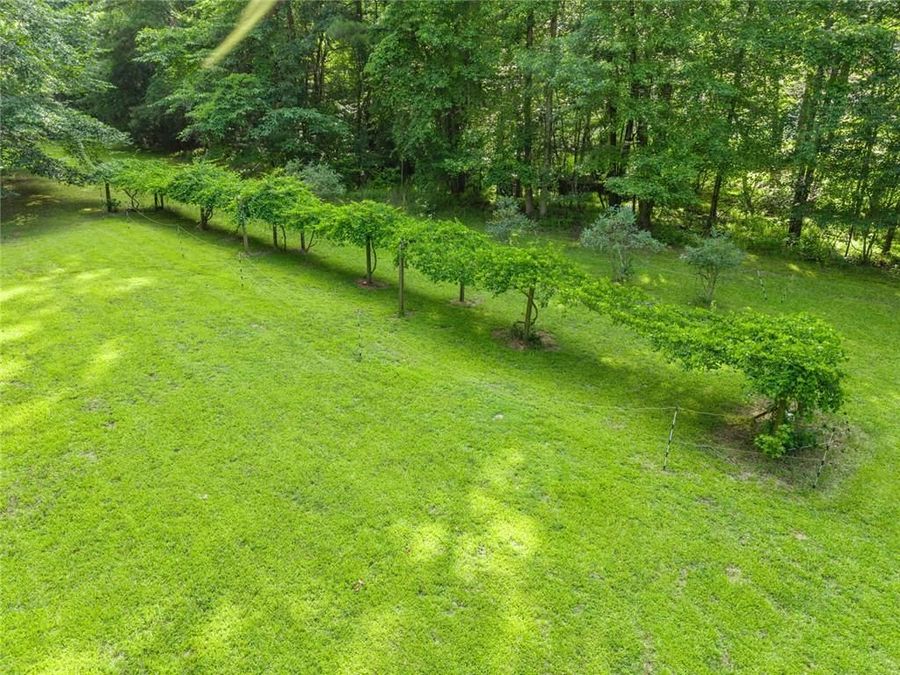Property Image 80