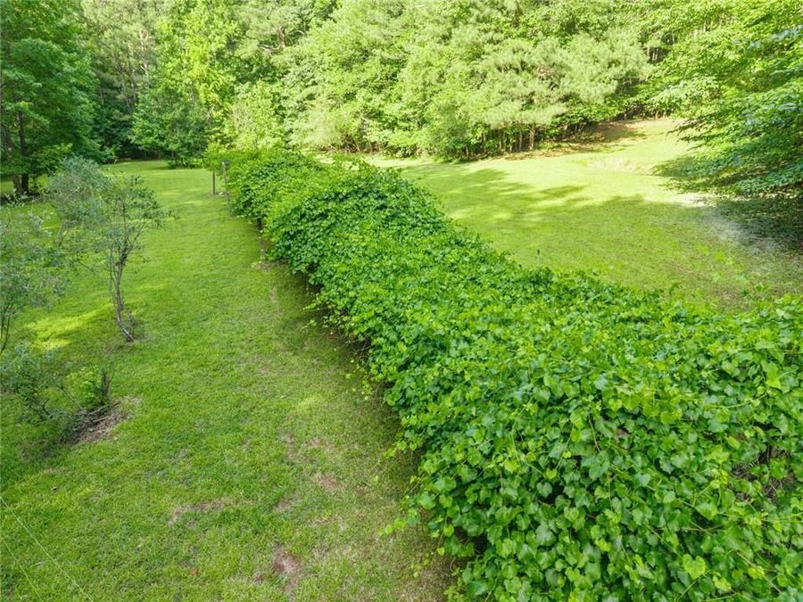 Property Image 81