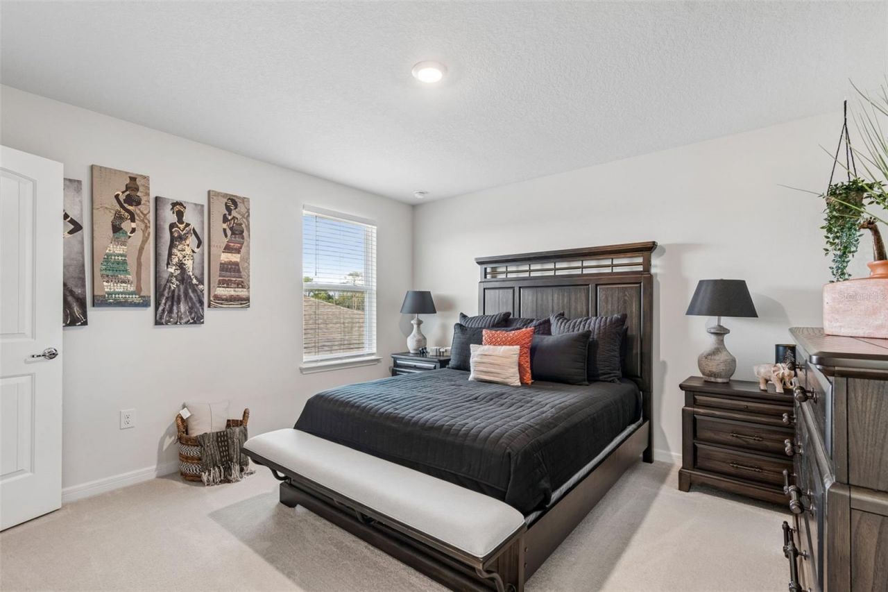 6390 Bradford Woods Drive, Zephyrhills, FL 33542 Photo