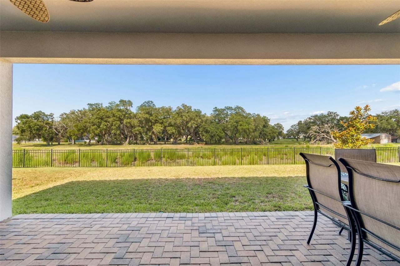 6390 Bradford Woods Drive, Zephyrhills, FL 33542 Photo