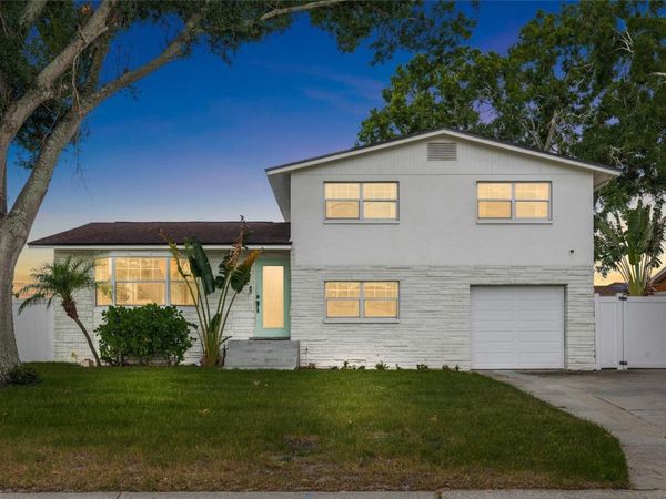 10716 DONBRESE AVENUE , TAMPA, FL 33615