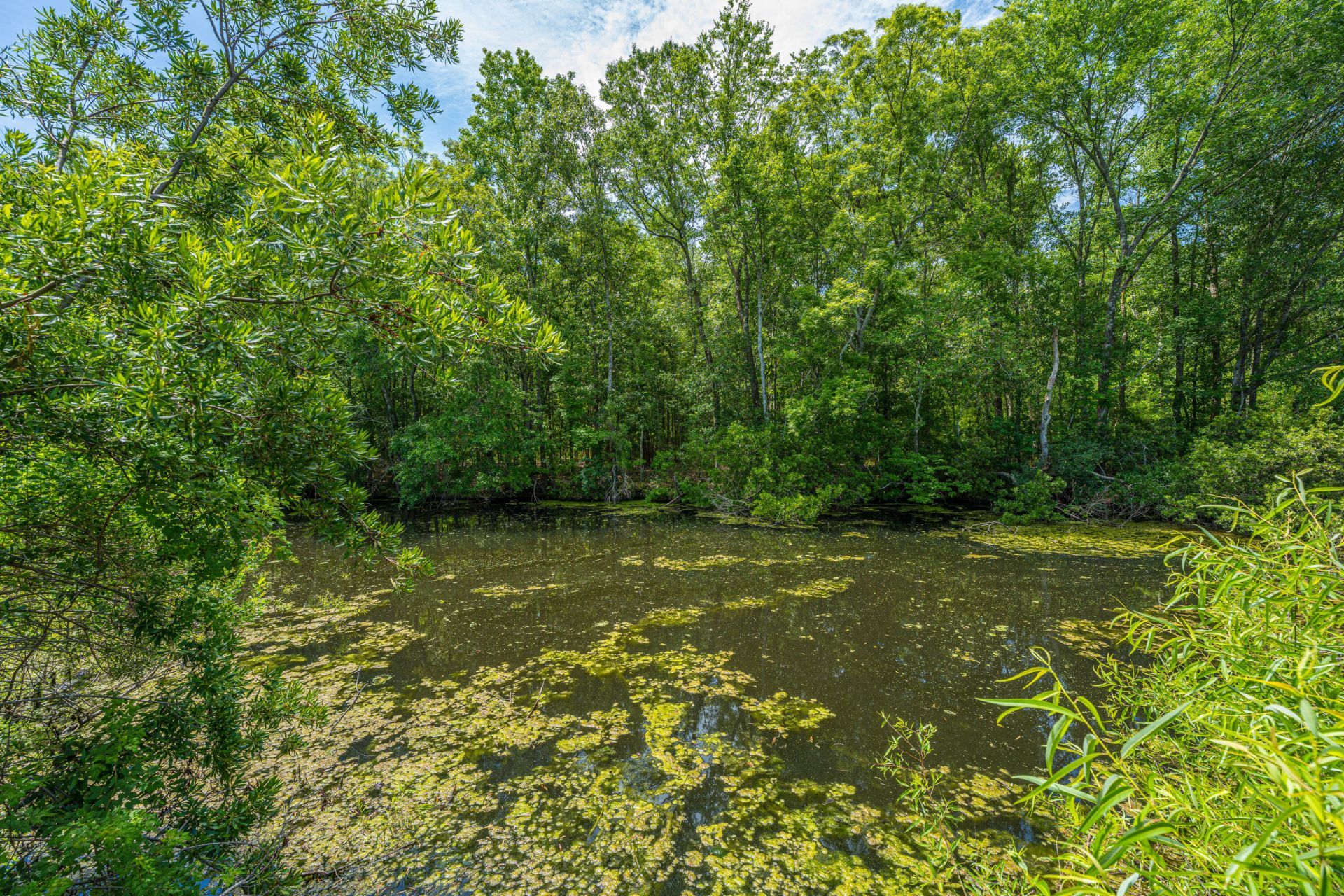 1029 Oakcrest Drive Photo 31