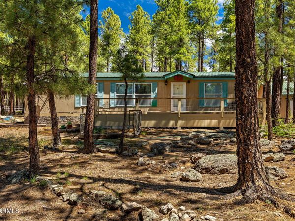 7 N COUNTY ROAD N2132, Alpine, AZ 85920