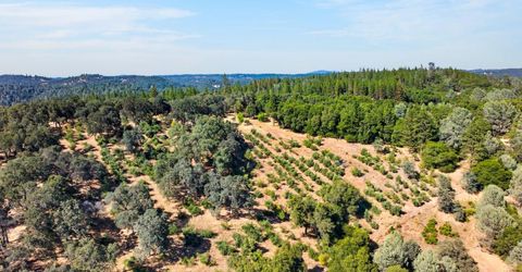 4016 Twin Ridges Rd, Placerville, CA 95667 Photo