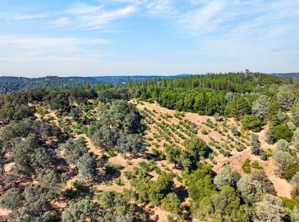 4016 Twin Ridges Rd, Placerville, CA 95667 Photo