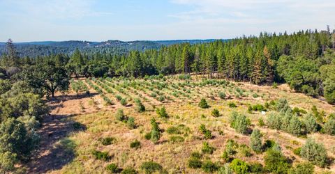 4016 Twin Ridges Rd, Placerville, CA 95667 Photo