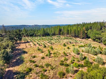 4016 Twin Ridges Rd, Placerville, CA 95667 Photo