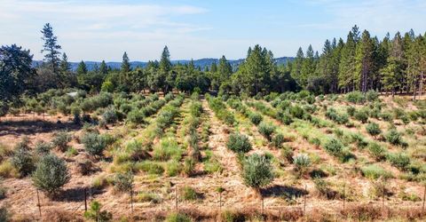 4016 Twin Ridges Rd, Placerville, CA 95667 Photo