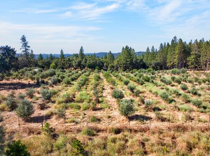 4016 Twin Ridges Rd, Placerville, CA 95667 Photo