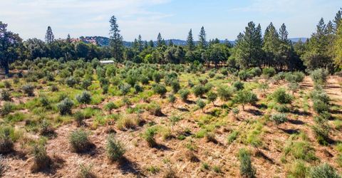 4016 Twin Ridges Rd, Placerville, CA 95667 Photo