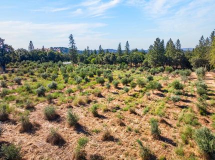 4016 Twin Ridges Rd, Placerville, CA 95667 Photo
