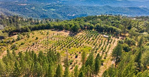 4016 Twin Ridges Rd, Placerville, CA 95667 Photo